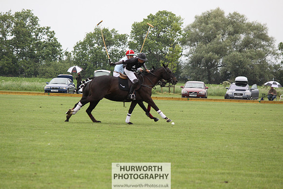 White Rose Polo 143