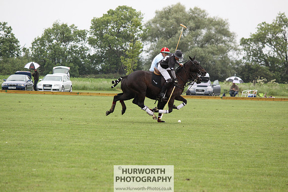White Rose Polo 144