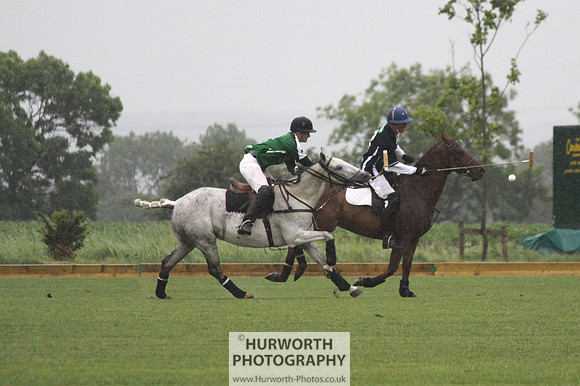 White Rose Polo 145