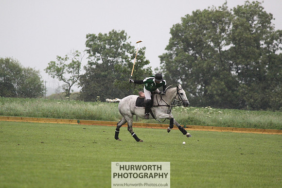 White Rose Polo 147