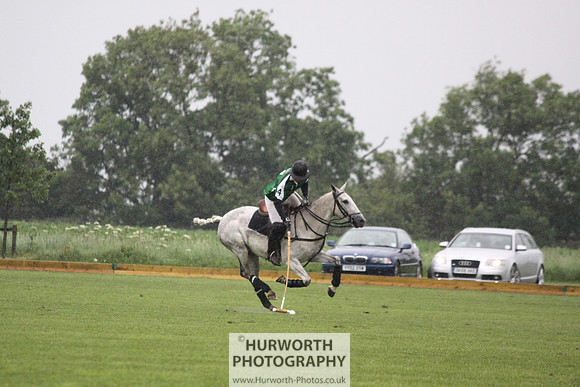 White Rose Polo 148