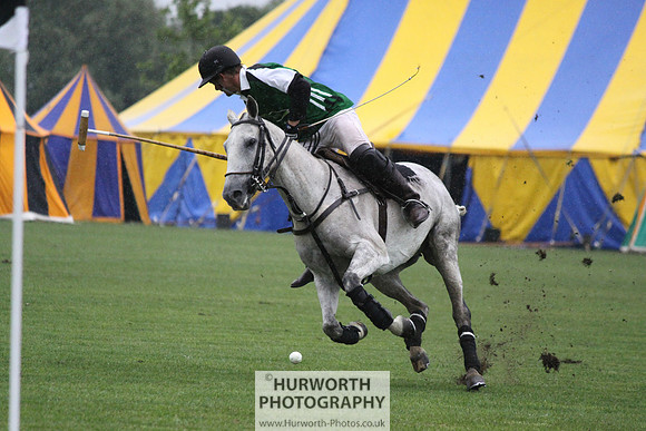 White Rose Polo 149