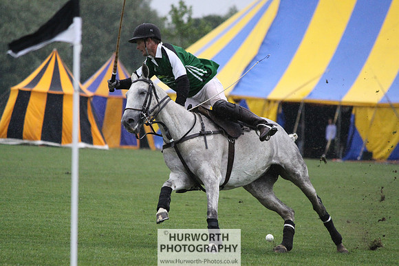 White Rose Polo 150
