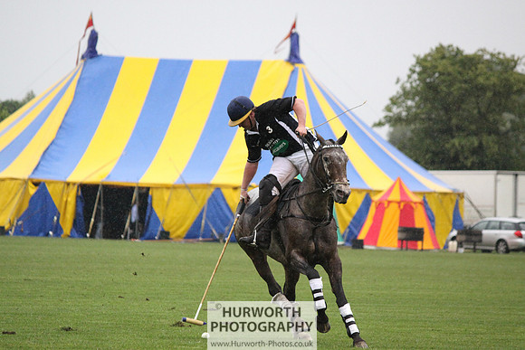 White Rose Polo 151