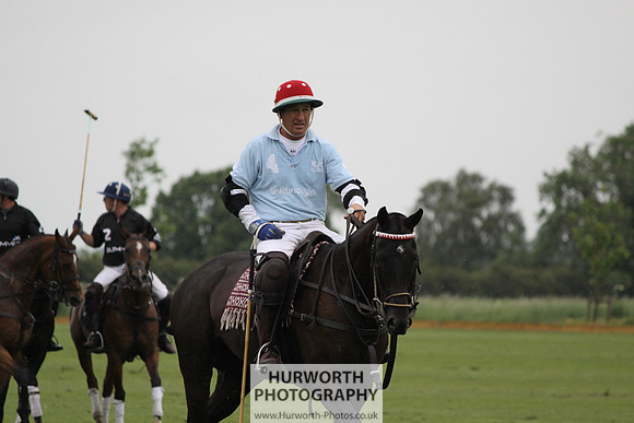 White Rose Polo 152