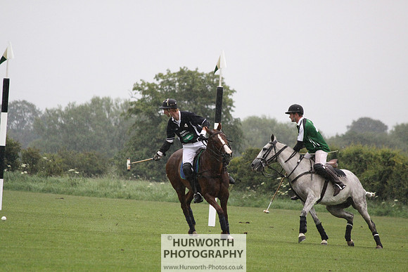 White Rose Polo 153