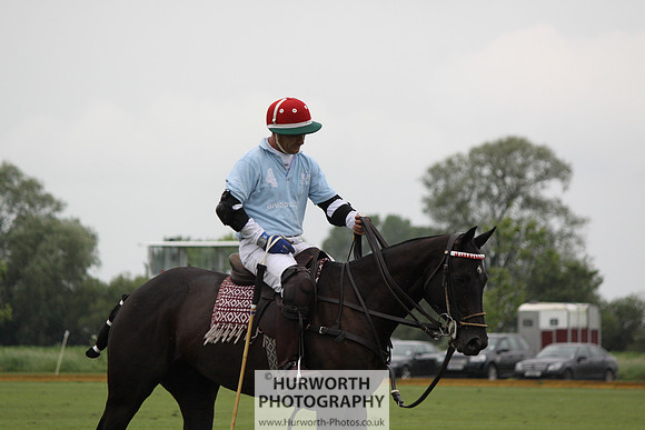 White Rose Polo 154