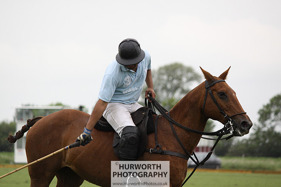 White Rose Polo 157