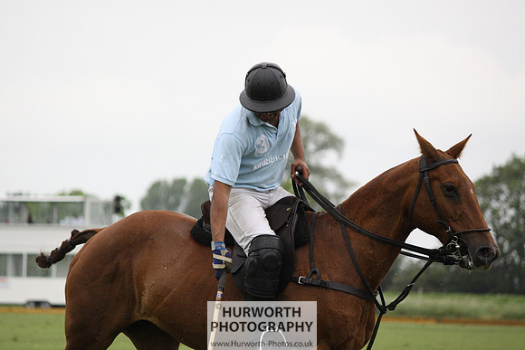 White Rose Polo 158
