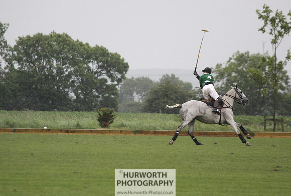 White Rose Polo 159