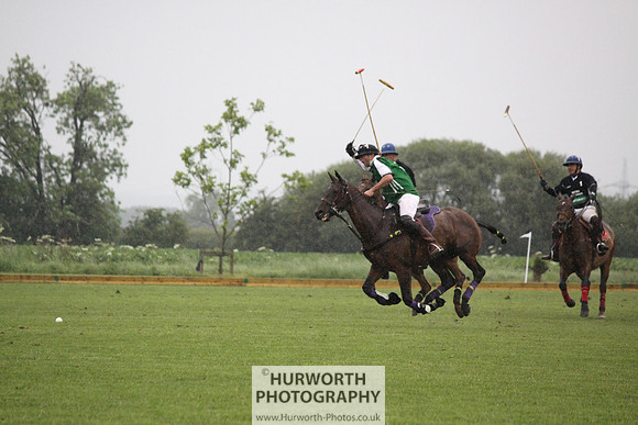 White Rose Polo 161