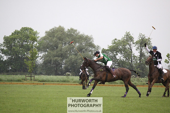 White Rose Polo 162