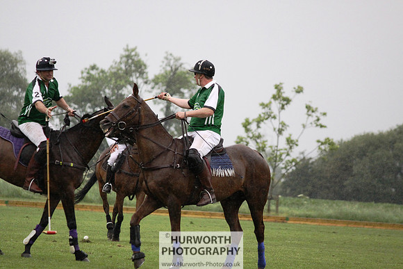 White Rose Polo 167