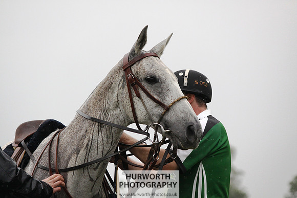 White Rose Polo 172