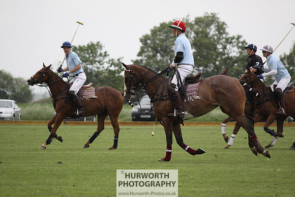 White Rose Polo 179