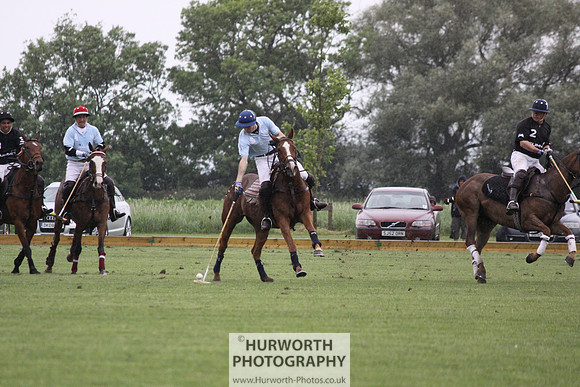 White Rose Polo 181