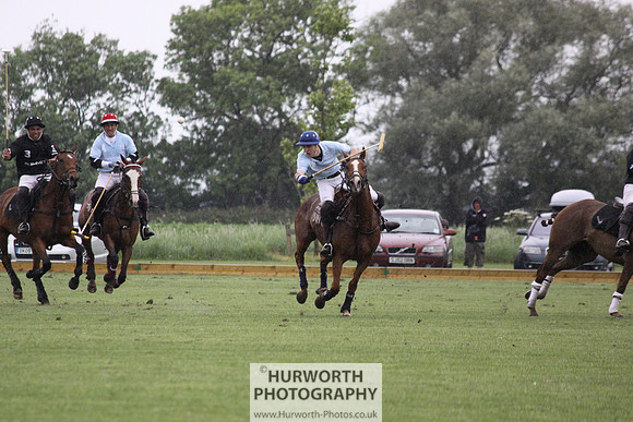 White Rose Polo 182