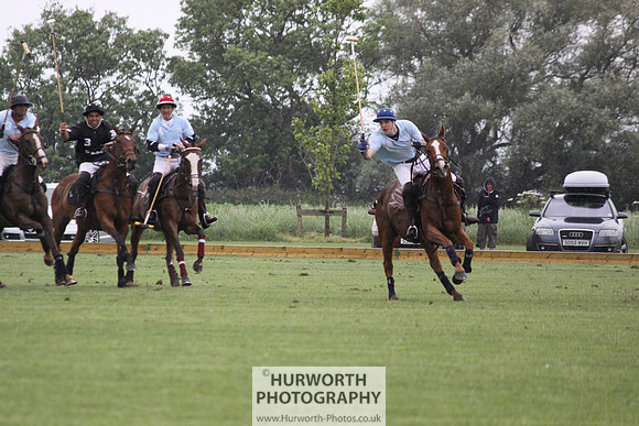 White Rose Polo 183
