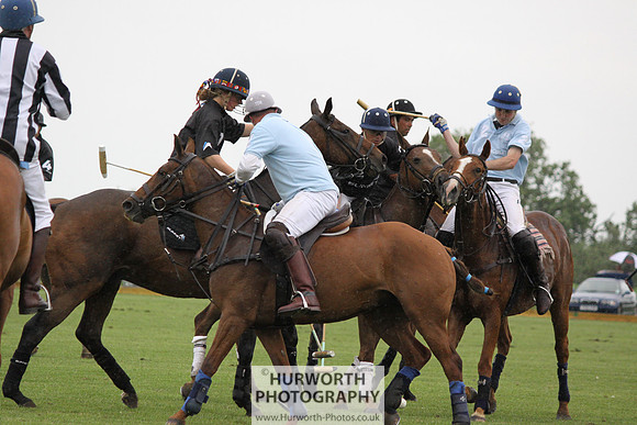 White Rose Polo 185