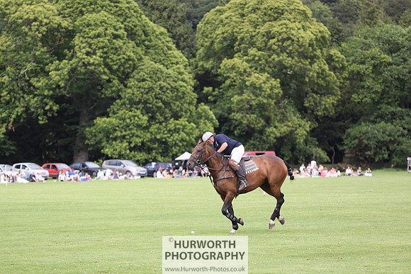 White Rose Polo 006