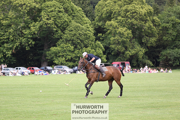 White Rose Polo 007