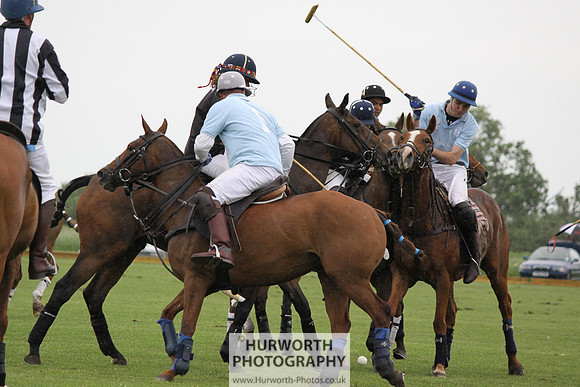 White Rose Polo 186