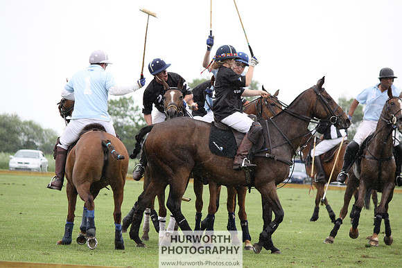 White Rose Polo 187