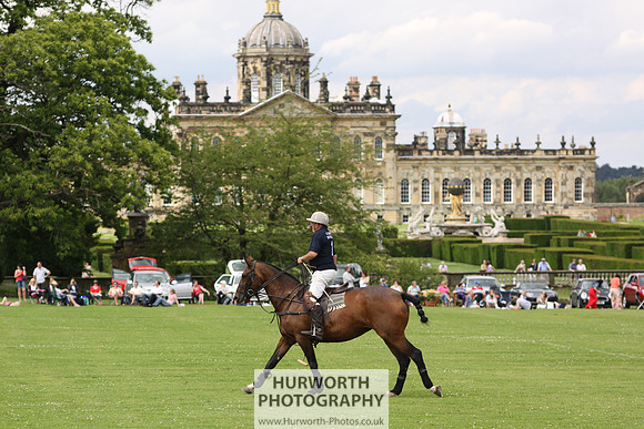 White Rose Polo 008