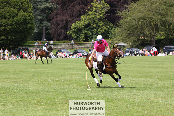White Rose Polo 011