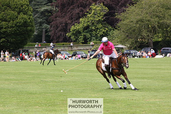 White Rose Polo 012
