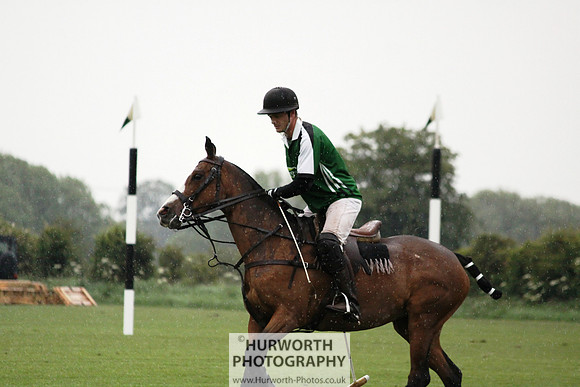 White Rose Polo 192