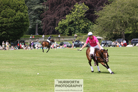 White Rose Polo 013