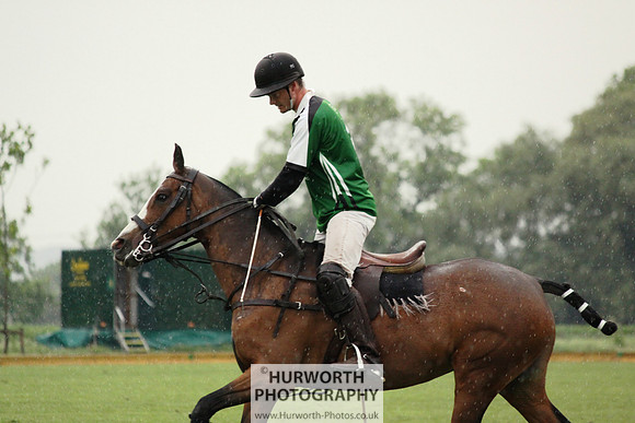 White Rose Polo 193