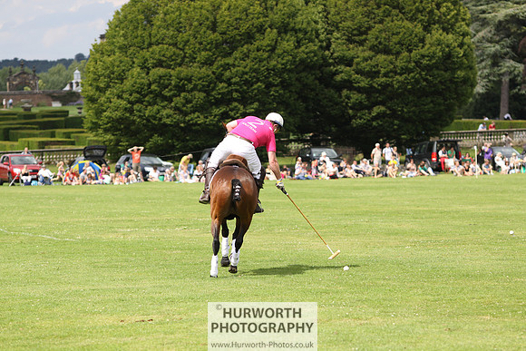 White Rose Polo 015