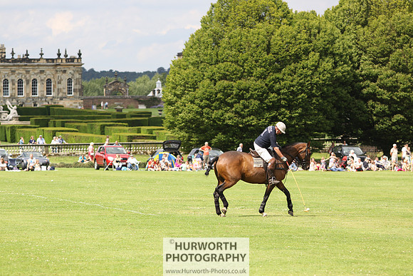 White Rose Polo 016