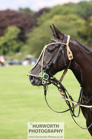 White Rose Polo 018