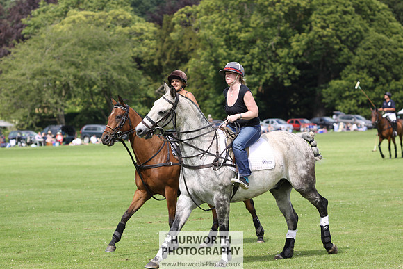 White Rose Polo 021