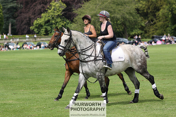 White Rose Polo 022