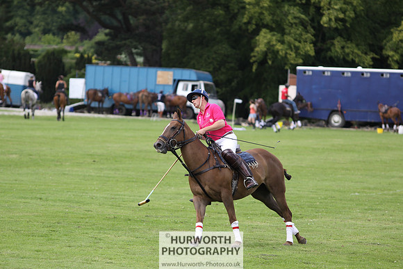 White Rose Polo 023