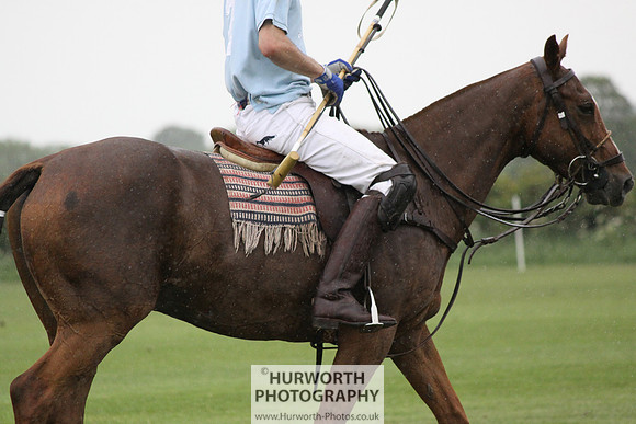 White Rose Polo 205