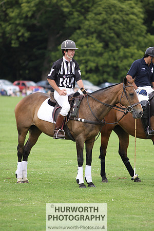 White Rose Polo 026