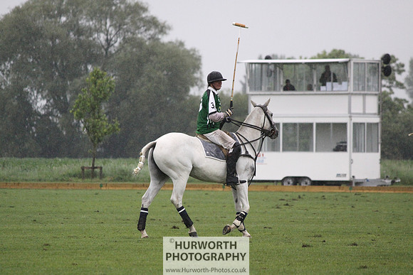White Rose Polo 208
