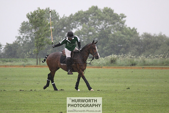 White Rose Polo 209