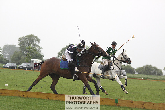 White Rose Polo 211