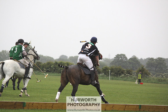 White Rose Polo 213