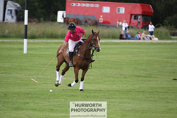 White Rose Polo 036