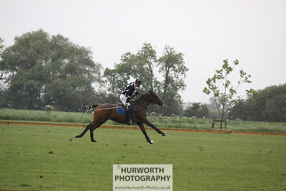 White Rose Polo 216