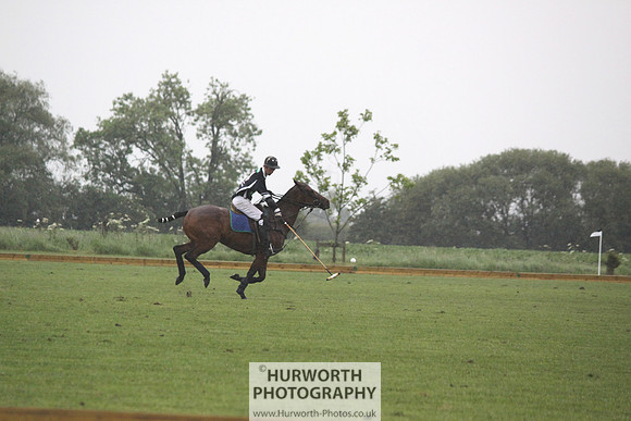 White Rose Polo 217