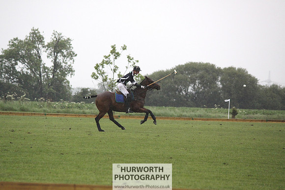 White Rose Polo 218