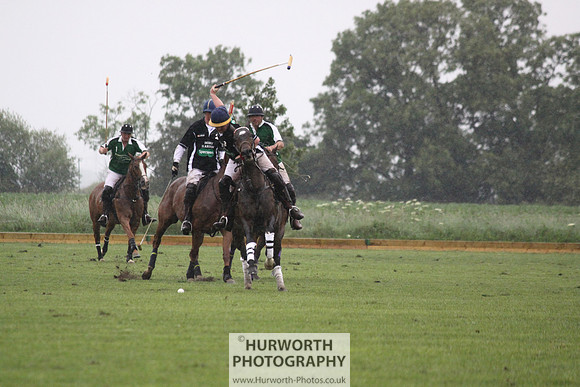 White Rose Polo 219